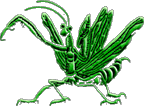 dragons.gif